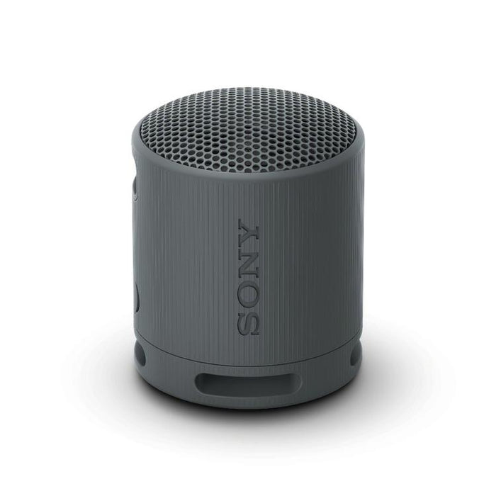 Sony SRS-XB100 | Haut-parleur portatif - Sans fil - Bluetooth - IP67 - Noir