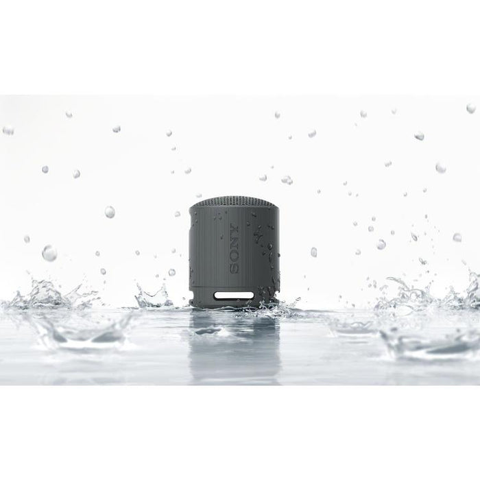 Sony SRS-XB100 | Portable speaker - Wireless - Bluetooth - IP67 - Black