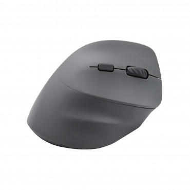 BlueDiamond 51224 | Souris - Sans Fil - Track Ergo - Gris