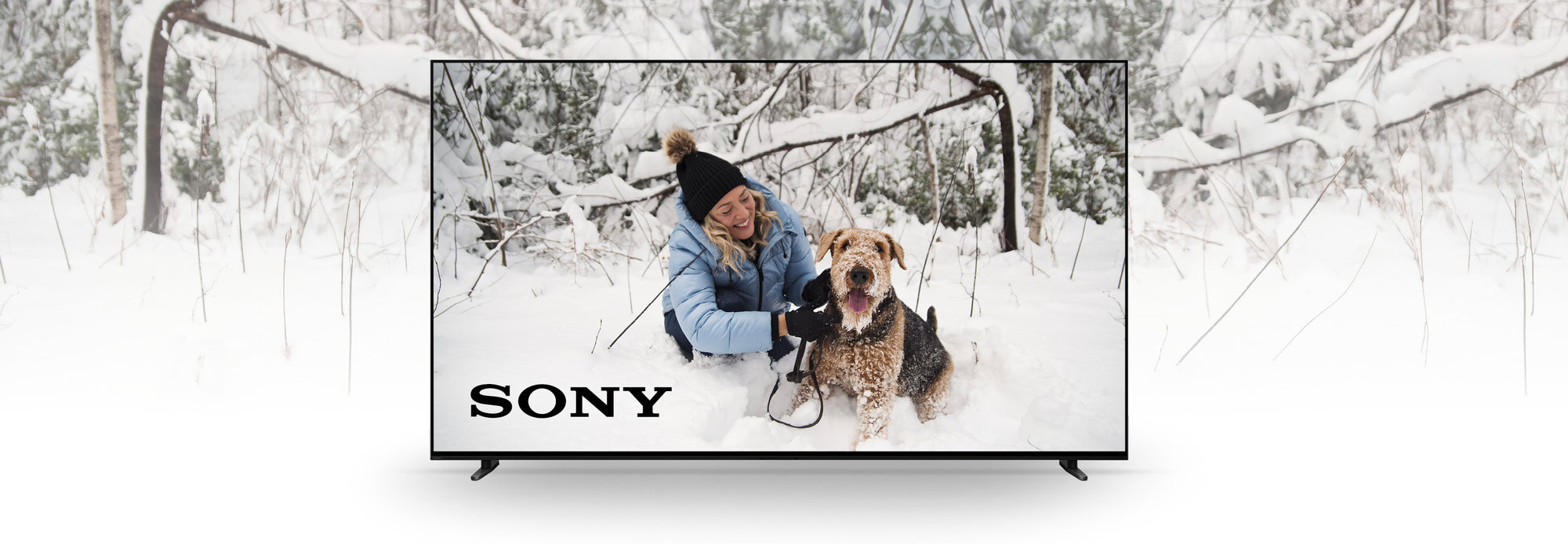 Sony | SONXPLUS Chibougamau